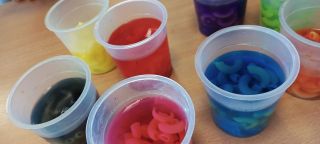 313018969_651622619742102_140277468678298940_n